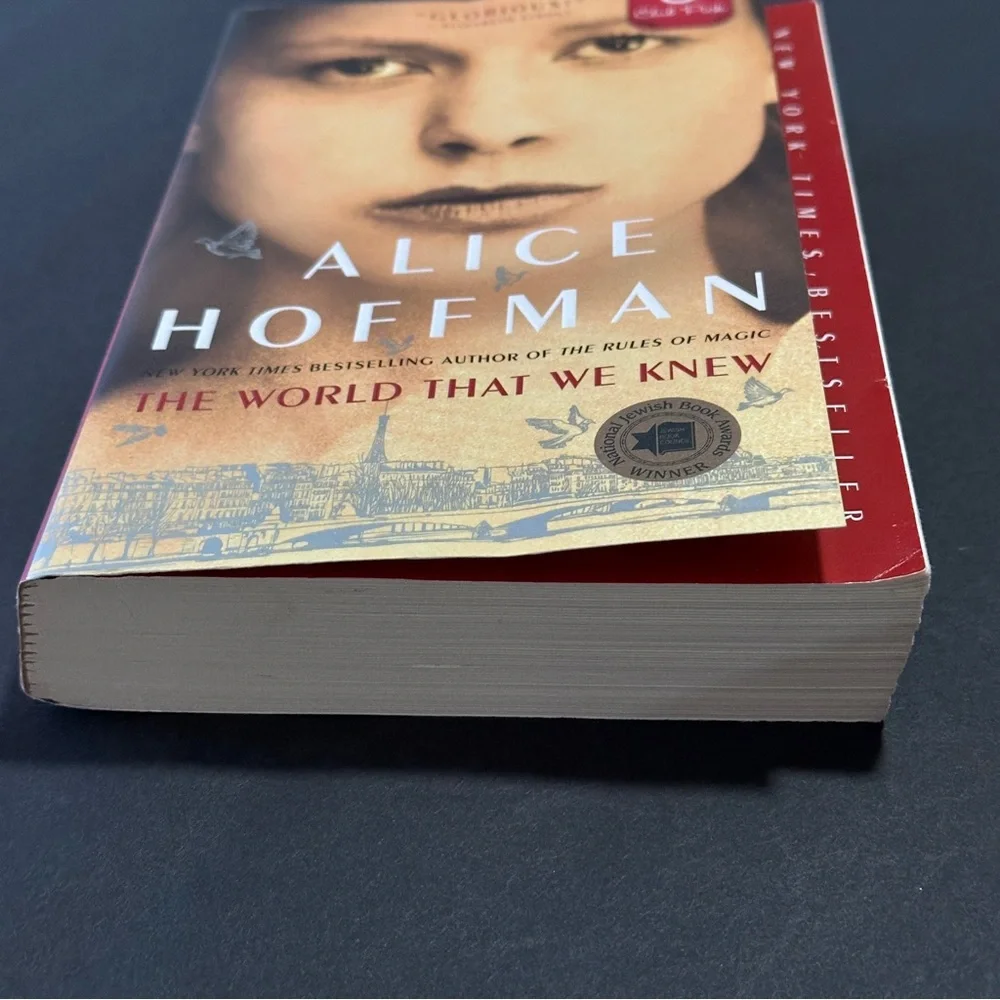 The World That We Knew by Alice Hoffman | Historical Fiction | Paperback Book - Picture 4 of 8